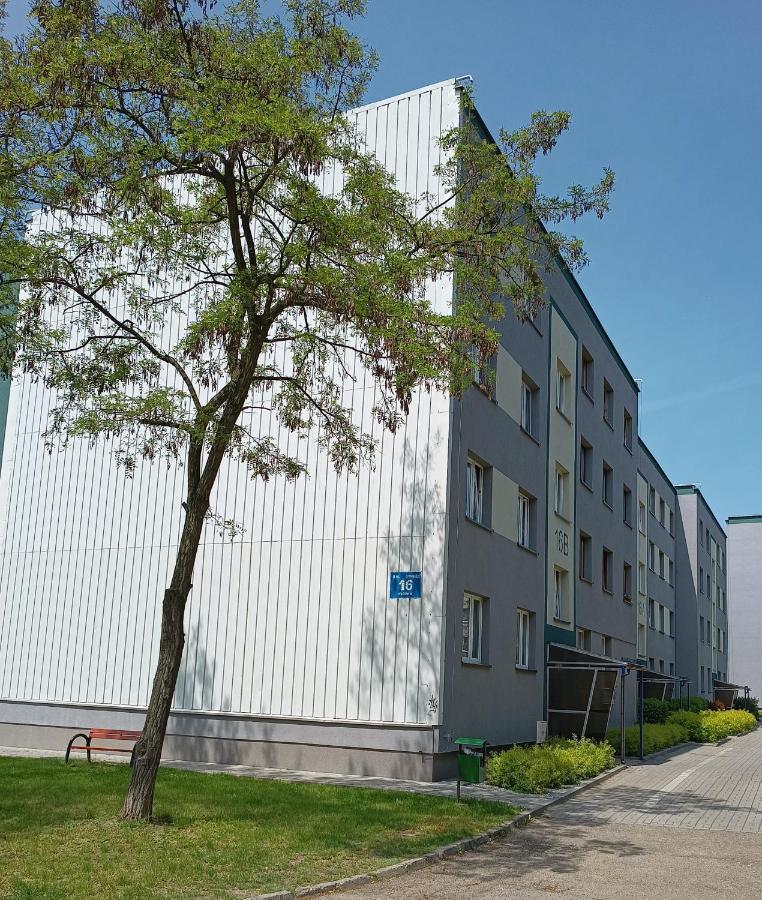Bursztynowy Apartament Tarnowskie Gory Luaran gambar